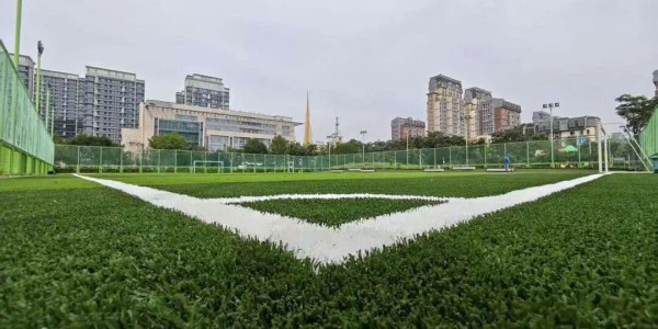 开云中国大陆-泰达这一足球场升级！即将对外开放！